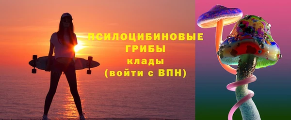 МДПВ Остров