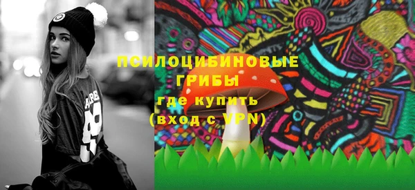МДПВ Абинск