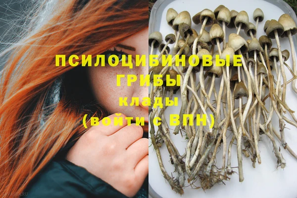 МДПВ Абинск