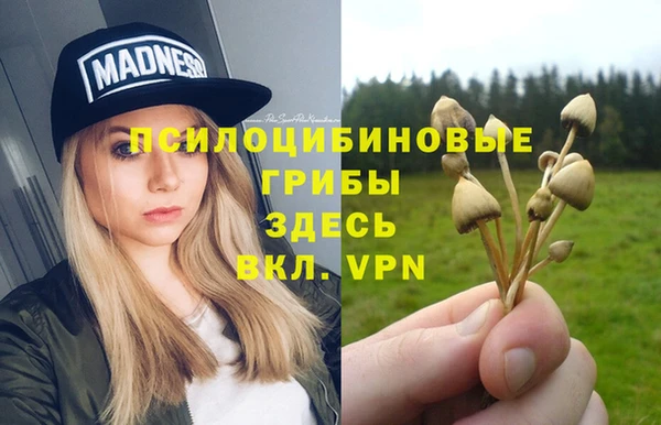 бошки Абаза