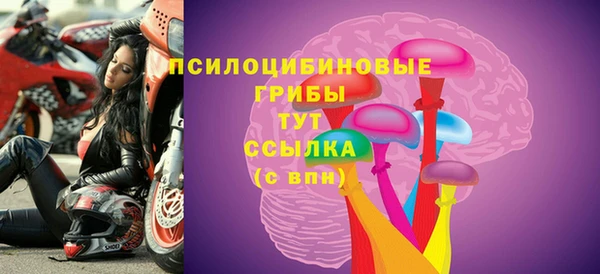 МДПВ Абинск