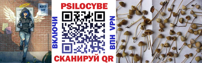 Псилоцибиновые грибы ЛСД Агидель